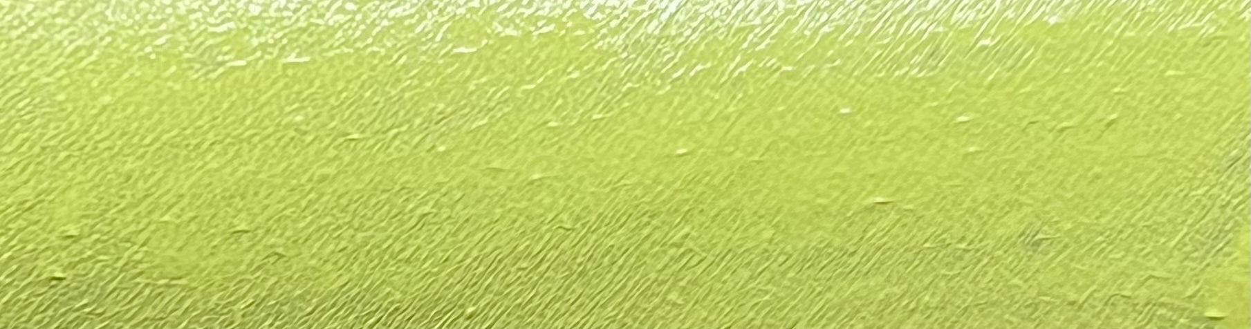44 - Chartreuse (Yellow) Water Activated Graphic Liner